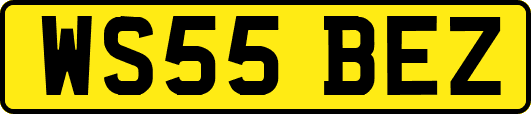 WS55BEZ
