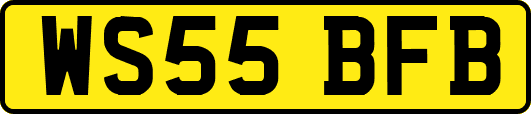WS55BFB