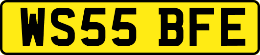 WS55BFE