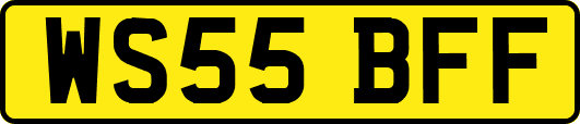 WS55BFF