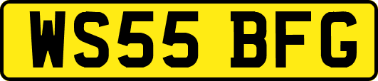 WS55BFG