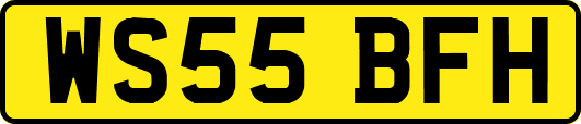 WS55BFH