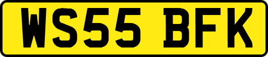 WS55BFK