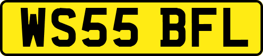 WS55BFL