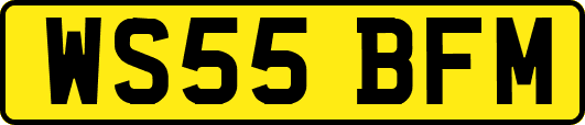 WS55BFM