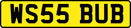 WS55BUB
