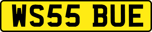 WS55BUE