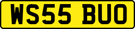 WS55BUO