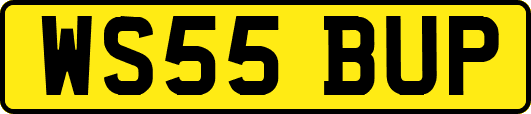 WS55BUP