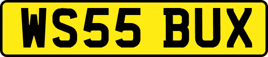 WS55BUX