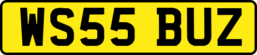 WS55BUZ