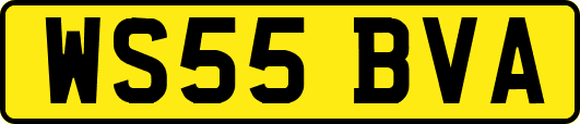 WS55BVA