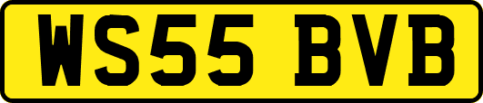 WS55BVB