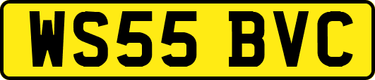 WS55BVC