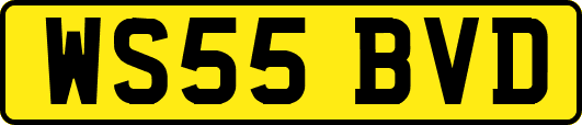 WS55BVD