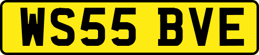 WS55BVE
