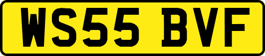 WS55BVF