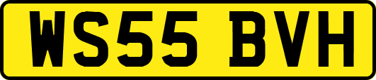 WS55BVH