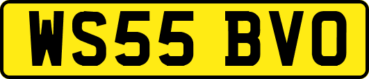 WS55BVO