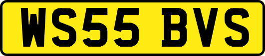 WS55BVS