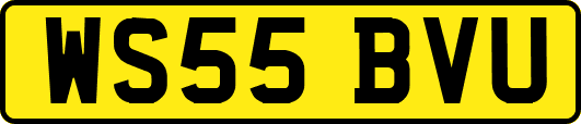 WS55BVU