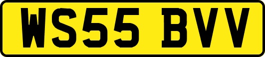 WS55BVV