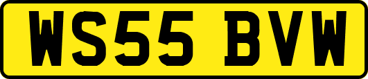 WS55BVW