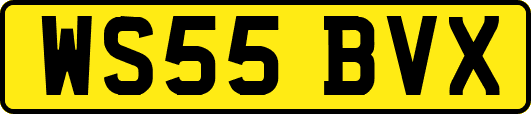 WS55BVX
