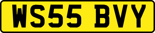 WS55BVY