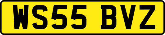 WS55BVZ