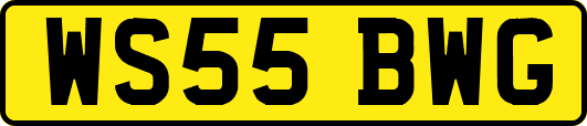 WS55BWG