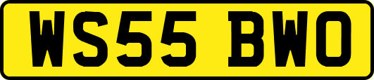 WS55BWO