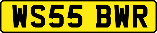 WS55BWR