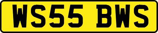 WS55BWS