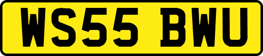 WS55BWU
