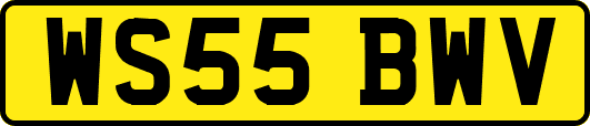 WS55BWV