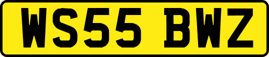 WS55BWZ