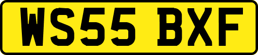 WS55BXF
