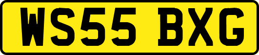 WS55BXG