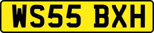 WS55BXH