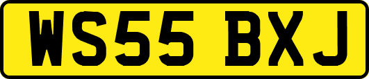 WS55BXJ