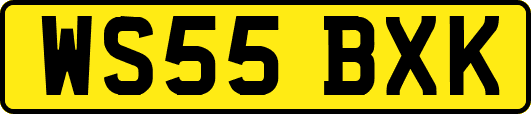 WS55BXK