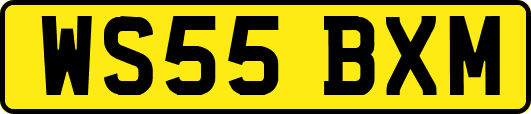 WS55BXM