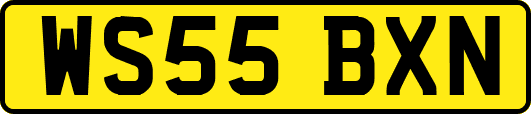 WS55BXN