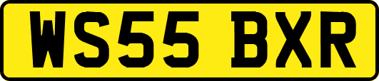 WS55BXR
