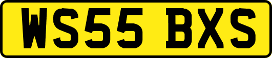 WS55BXS