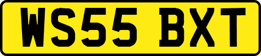 WS55BXT