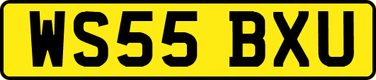 WS55BXU