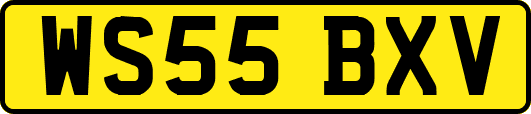 WS55BXV