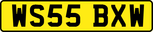 WS55BXW